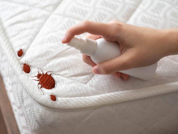 Emergency Pest Control in Montpelier, OH